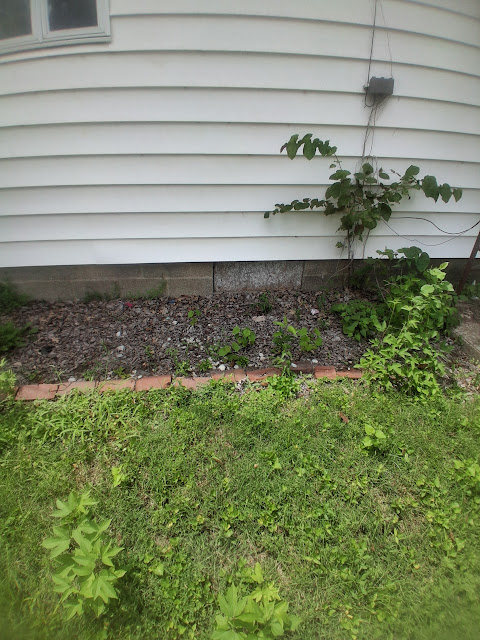 1310 E Poplar St: photo 26