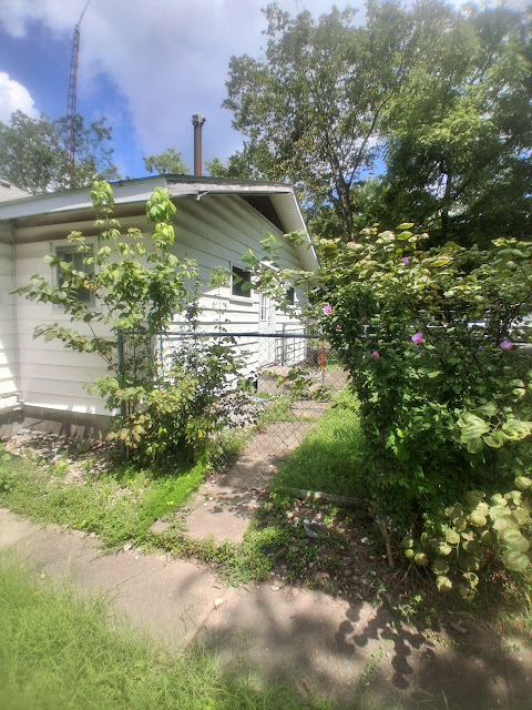 1310 E Poplar St: photo 34