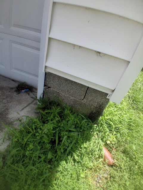 1310 E Poplar St: photo 33