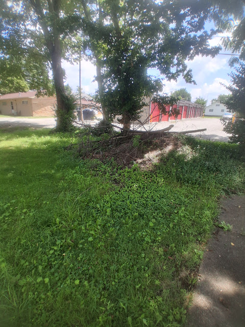 1310 E Poplar St: photo 37