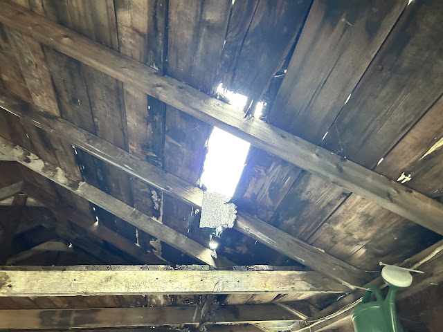 1117 W Packard St: photo 24