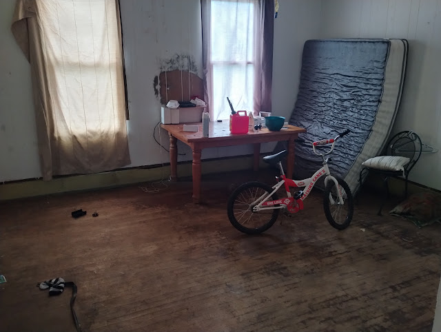 2315 W Ann St: photo 6