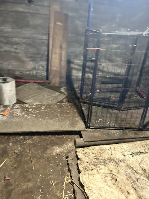 2315 W Ann St: photo 17