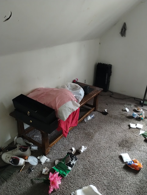 2315 W Ann St: photo 20