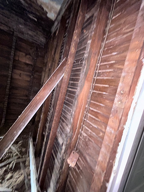 606 Anderson St: photo 39