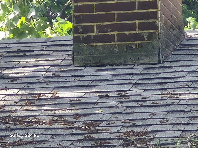 3238 Colorado Ave: photo 25