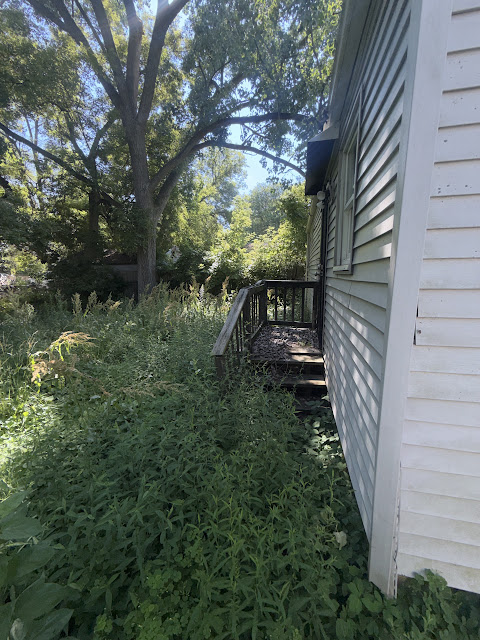 3238 Colorado Ave: photo 5