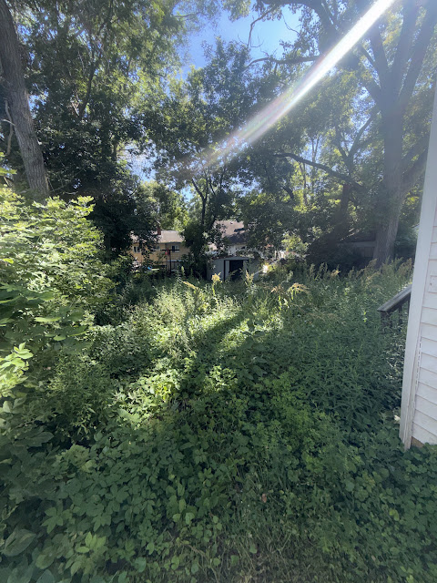 3238 Colorado Ave: photo 20