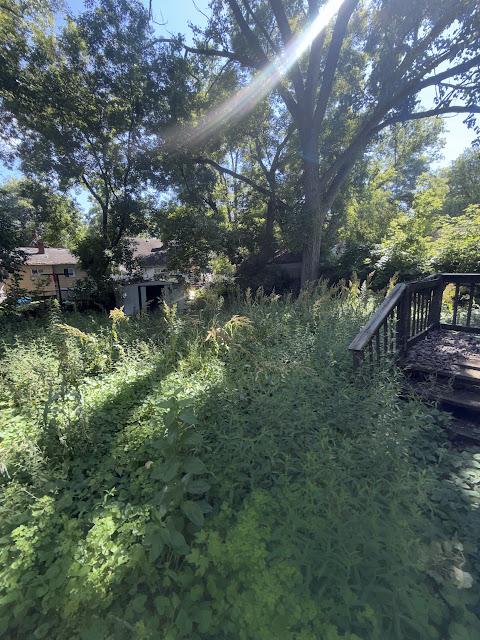 3238 Colorado Ave: photo 19