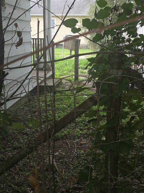 1021 Maple St: photo 26