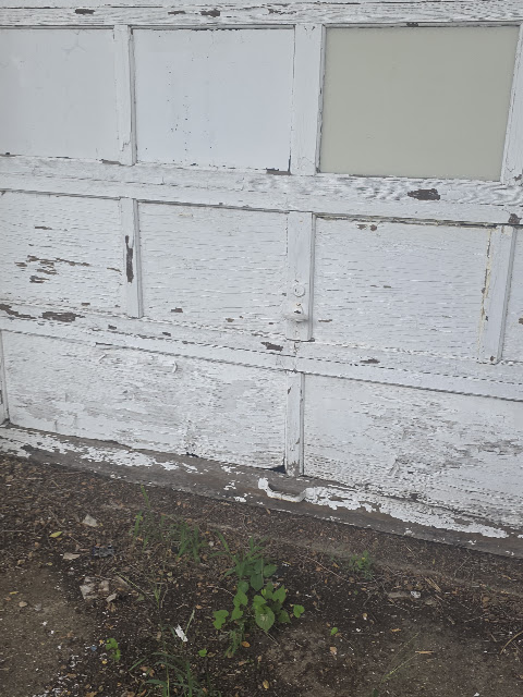 1021 Maple St: photo 53