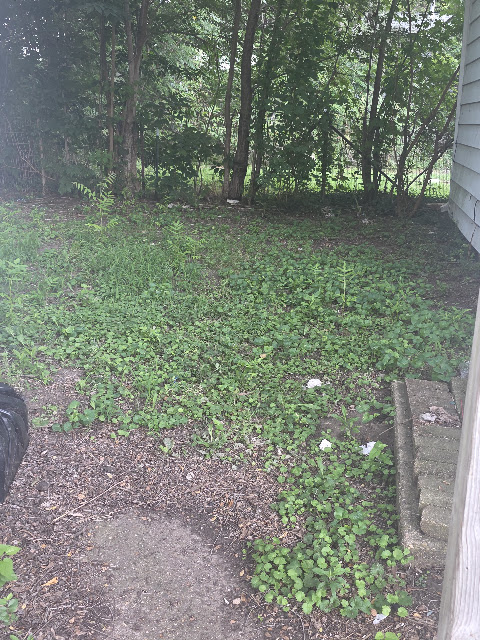 1021 Maple St: photo 6