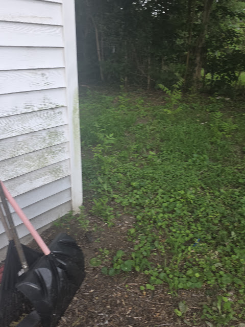 1021 Maple St: photo 59
