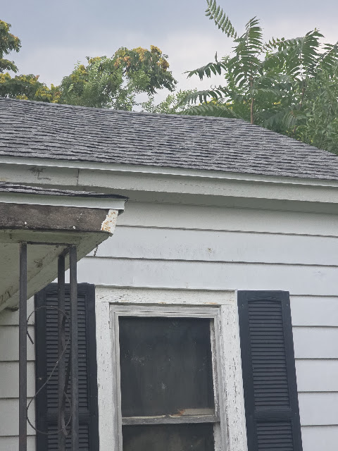 1021 Maple St: photo 21