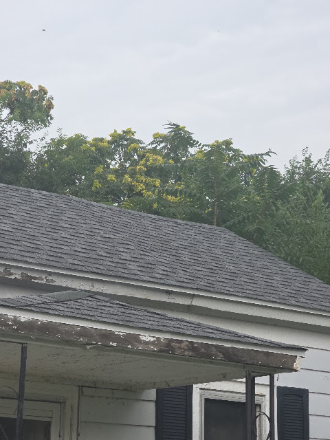 1021 Maple St: photo 76