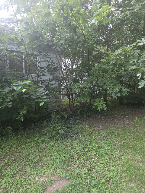 1021 Maple St: photo 29