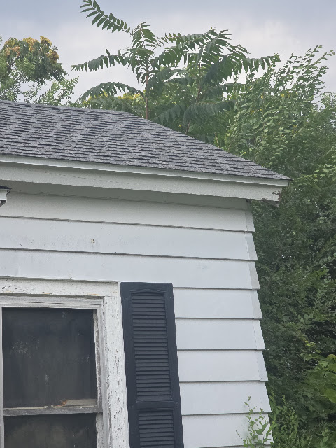 1021 Maple St: photo 20