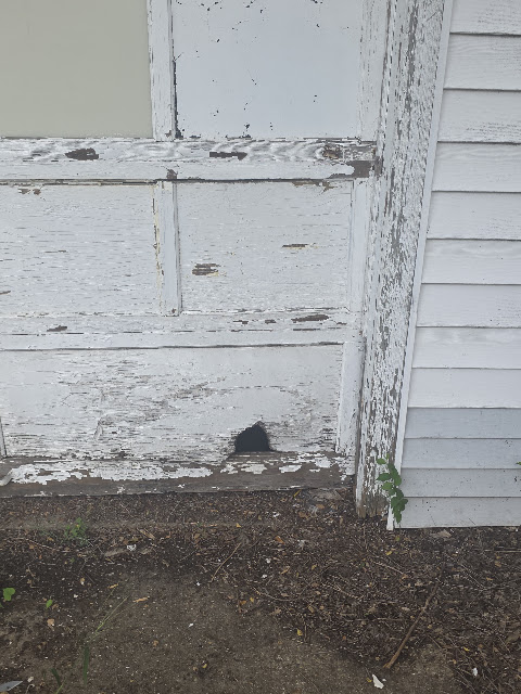 1021 Maple St: photo 54