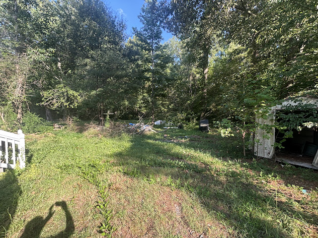 23405 White House Rd: photo 5