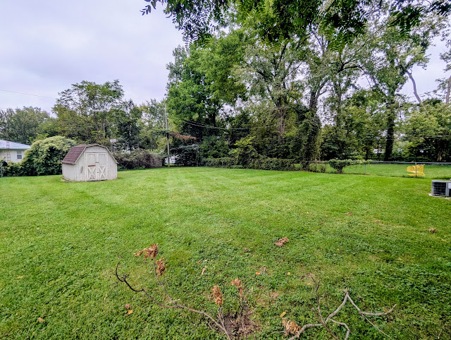 1615 W 9th St: photo 22