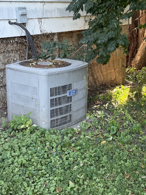 1272 W King St: photo 17
