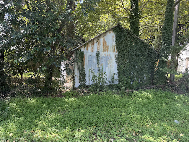1315 Poindexter St: photo 5