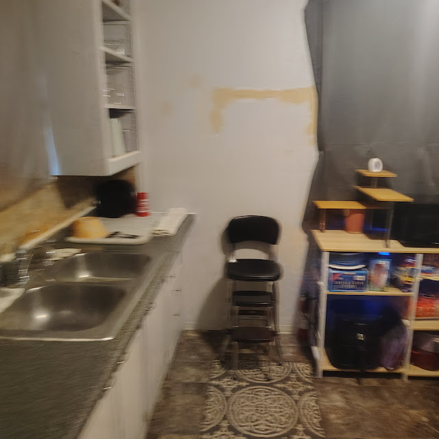 1175 E Division St: photo 63