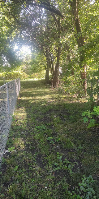 1175 E Division St: photo 54