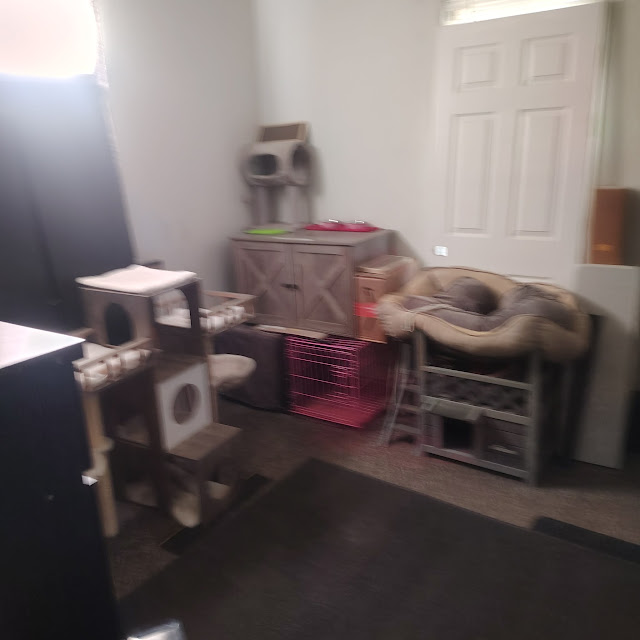 1175 E Division St: photo 65