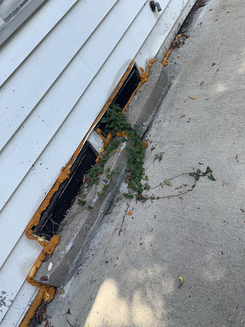 1175 E Division St: photo 9
