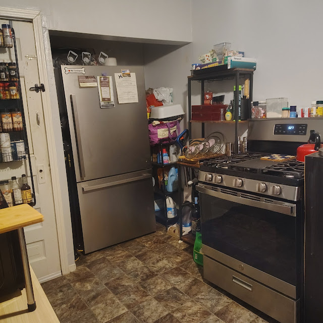 1175 E Division St: photo 12