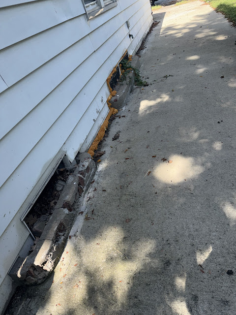 1175 E Division St: photo 37