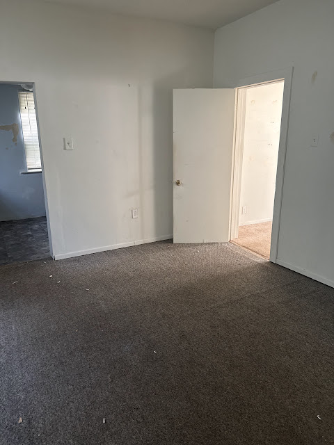 1175 E Division St: photo 15