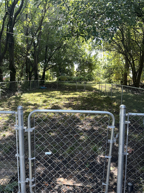 1175 E Division St: photo 8