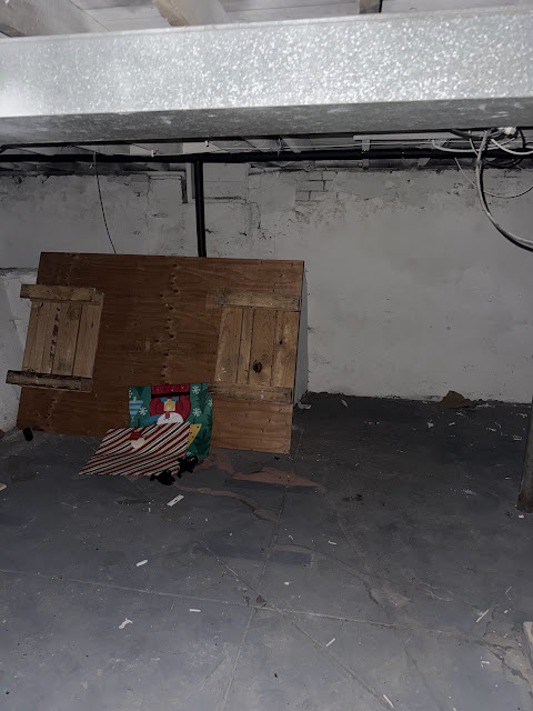 1175 E Division St: photo 33