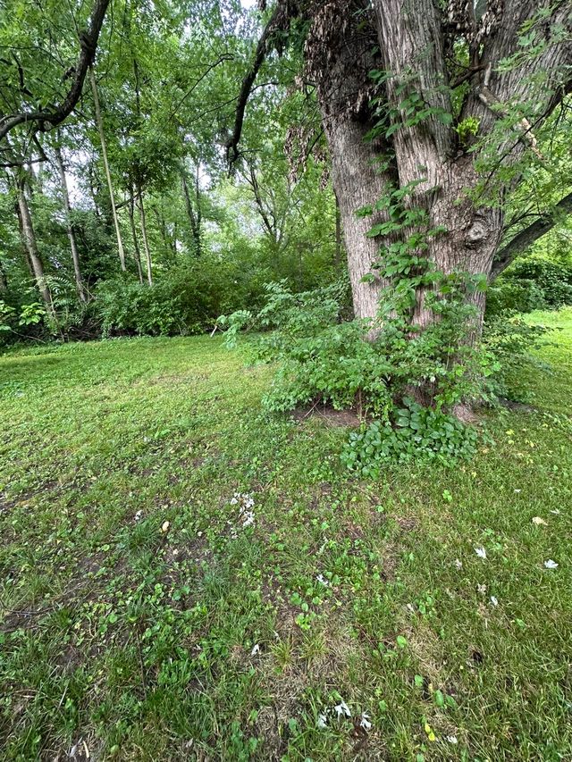 1970 N Maple Ave: photo 46