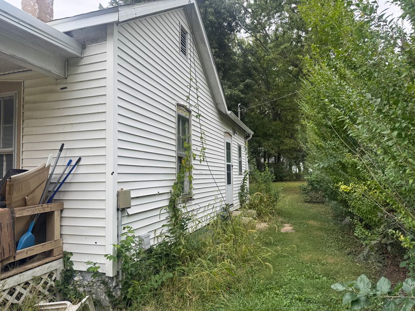 524 Albert St: photo 4