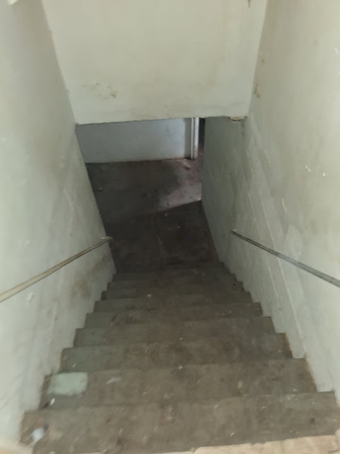 2309 W Malone St: photo 21
