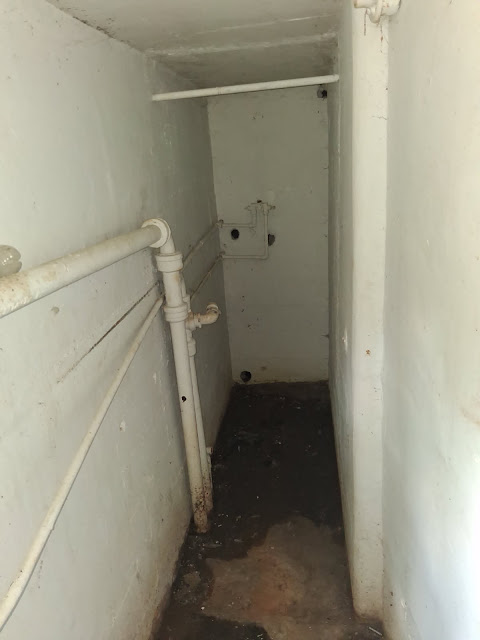 2309 W Malone St: photo 15