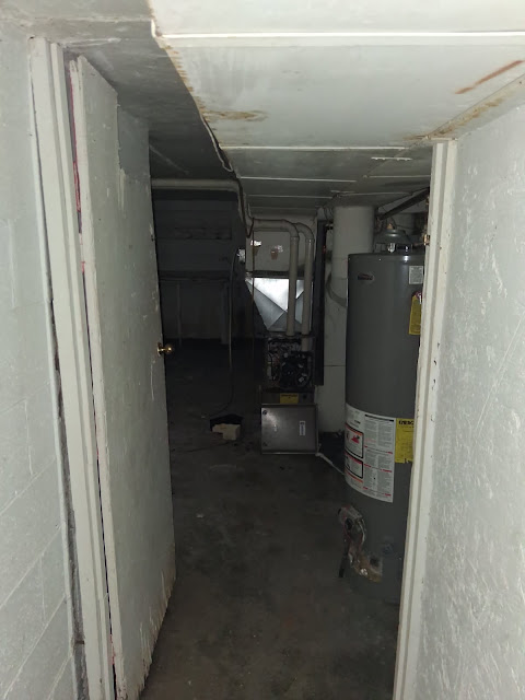 2309 W Malone St: photo 16