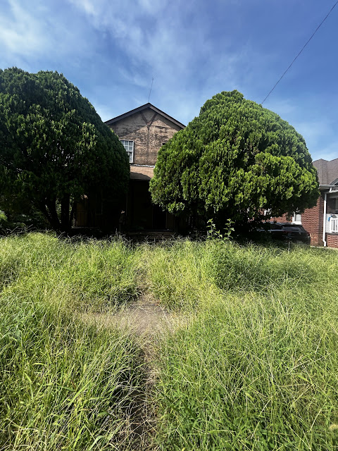 2209 Edwards St: photo 25