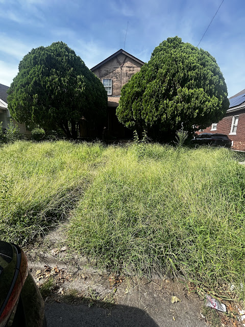 2209 Edwards St: photo 24