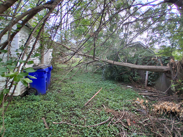 765 W Division St: photo 9