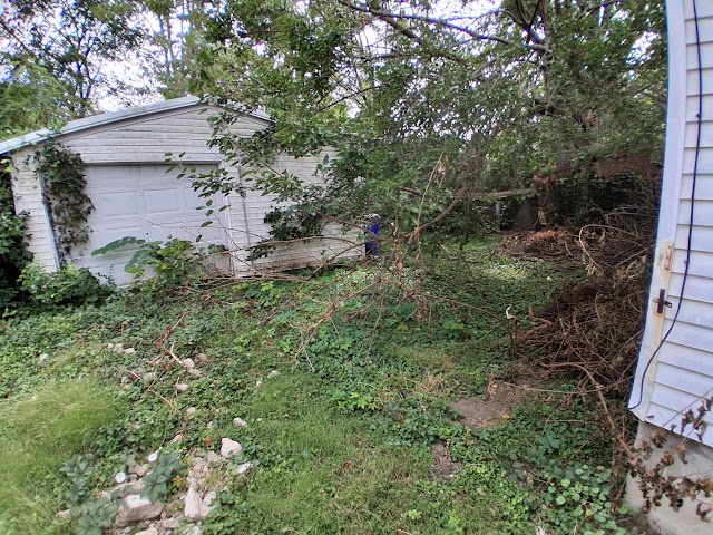 765 W Division St: photo 8