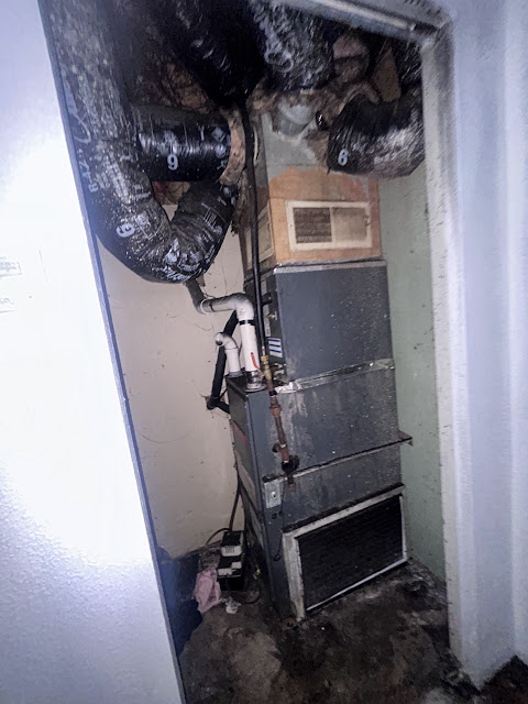 66 Franklin Ave: photo 19