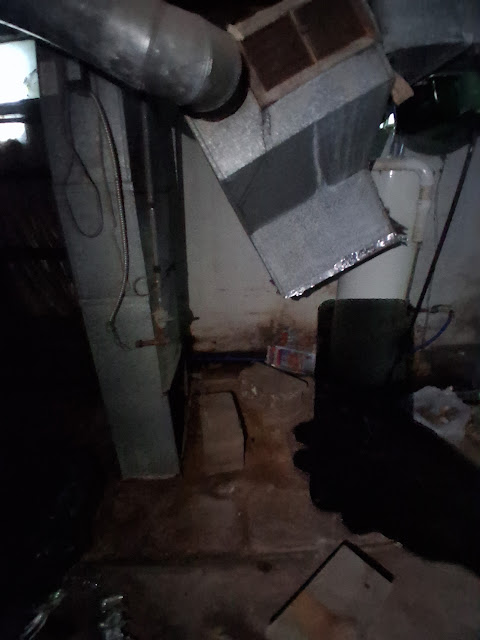 1645 E Walnut St: photo 24
