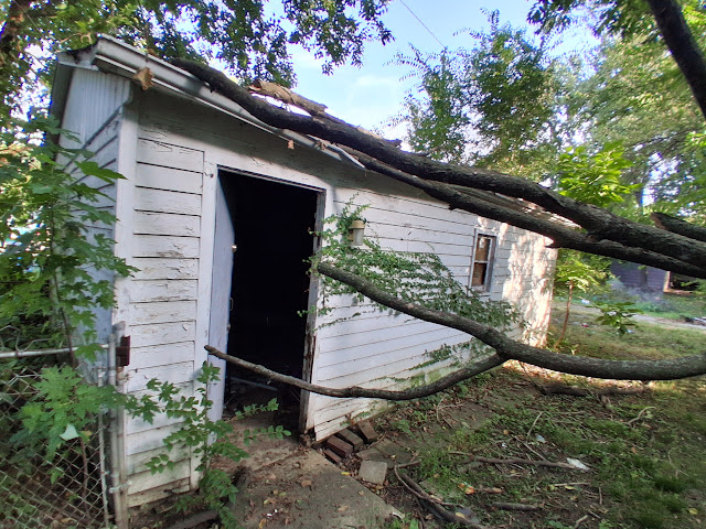 1645 E Walnut St: photo 5