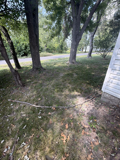 1119 S Brookside Ave: photo 16