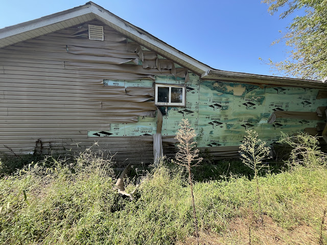5807 Forest Blvd: photo 29