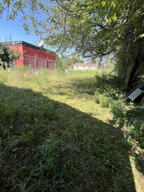 5807 Forest Blvd: photo 30